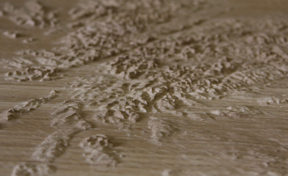 Relief map with height extruded to to exaggerate the contours.